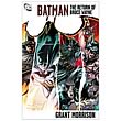 Batman The Return of Bruce Wayne Graphic Novel